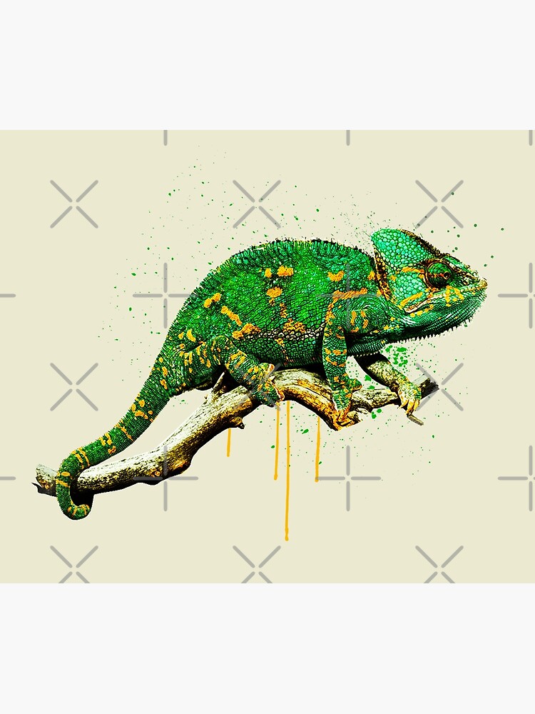 Designer Veiled Chameleon for sale