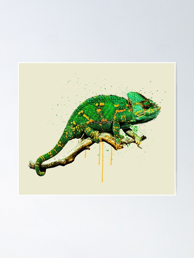 Illustration of green Common Chameleon For sale as Framed Prints, Photos,  Wall Art and Photo Gifts