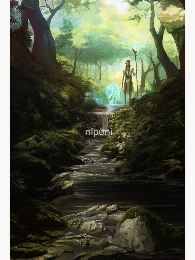 Beyond the Veil Forest by nipuni