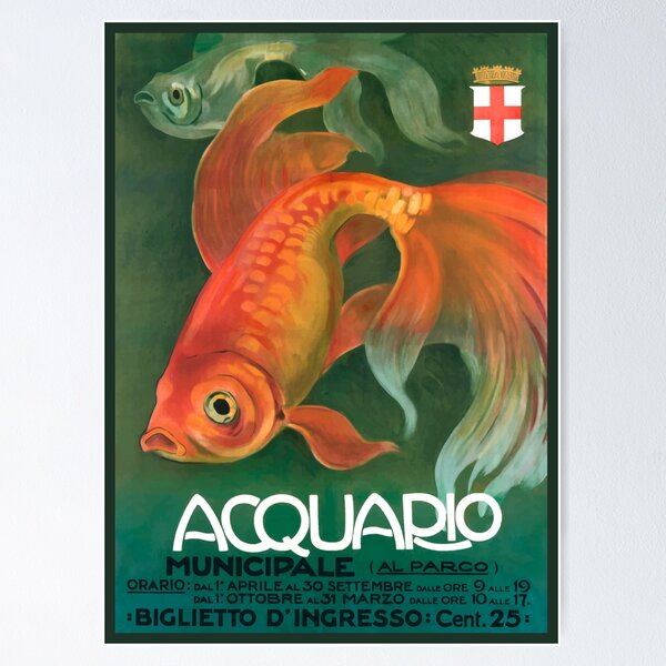 Acquario Posters for Sale