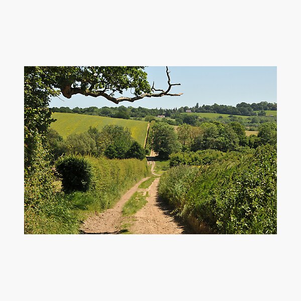 Item preview, Camino rural de East Sussex designed and sold by Catherine Ames.