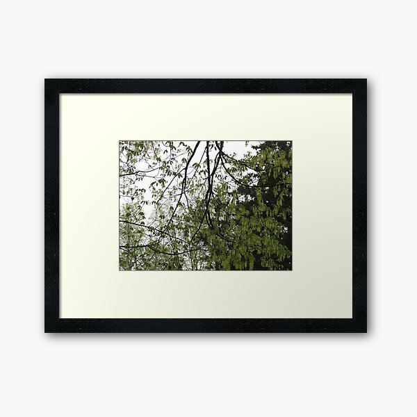 A Gathering of Leaves Framed Art Print