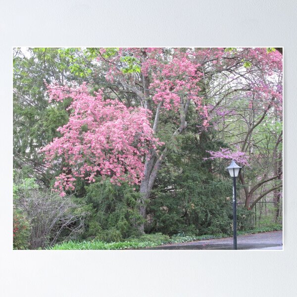 Item preview, Pink by the Lamp Post designed and sold by MissLADYbugsy.