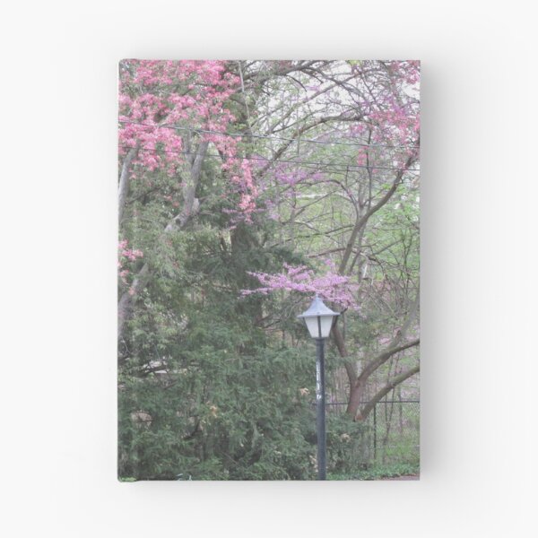 Item preview, Pink by the Lamp Post designed and sold by MissLADYbugsy.