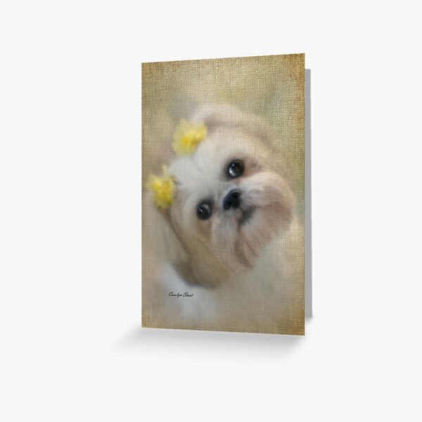 Pretty Girl Greeting Card
