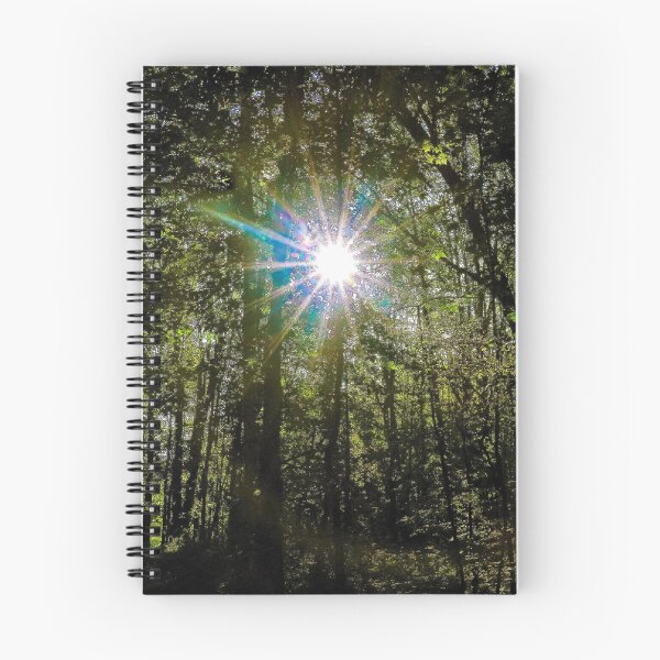 Item preview, Sunshine Through the Trees designed and sold by ADM Photography.