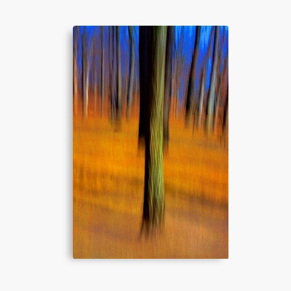An Early Spring Afternoon Canvas Print