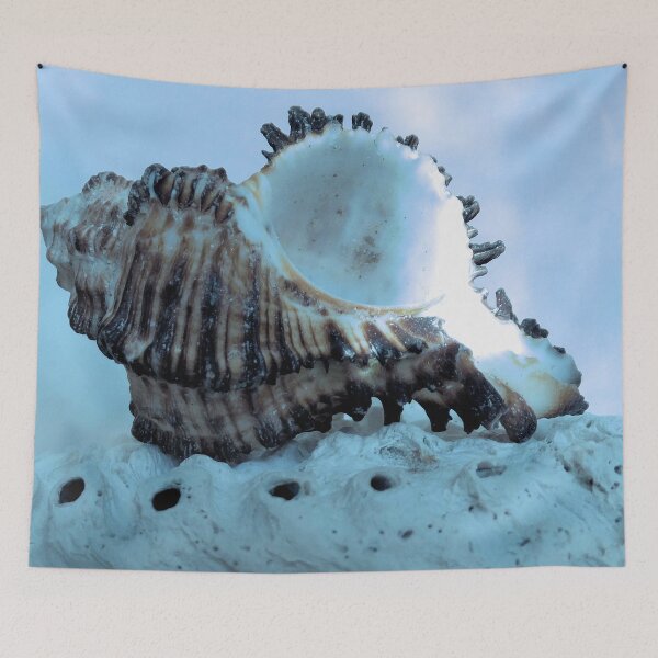 Item preview, Sea Shells designed and sold by SexyEyes69.
