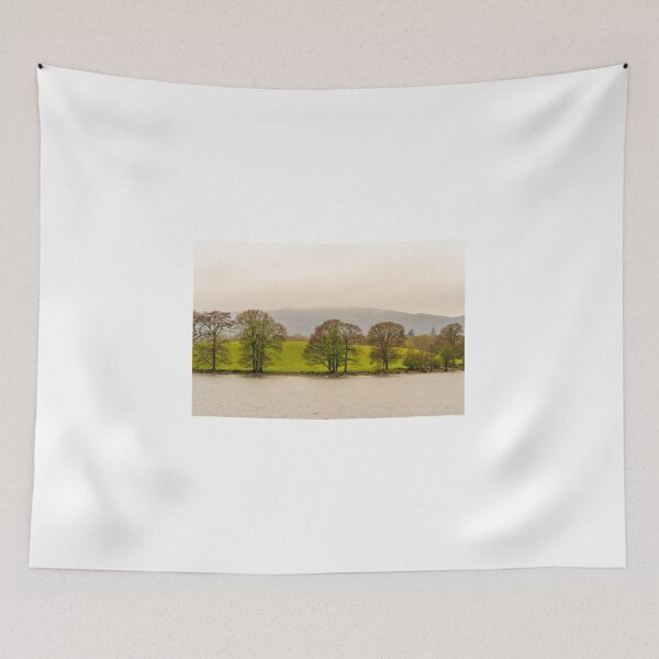 Item preview, Misty lakeside trees designed and sold by craig777red.