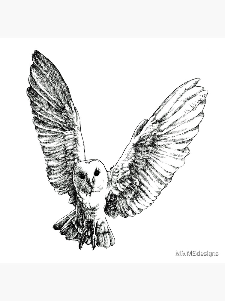 How to Draw an Owl Great Horned Flying  YouTube