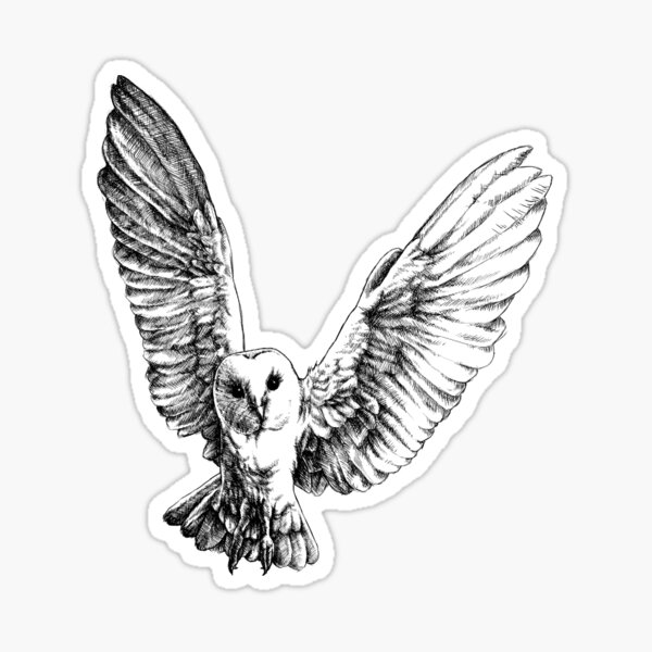 Item preview, Flying Barn Owl (bright background) designed and sold by MMMSdesigns.
