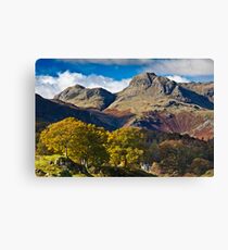The Langdale valley Canvas Print
