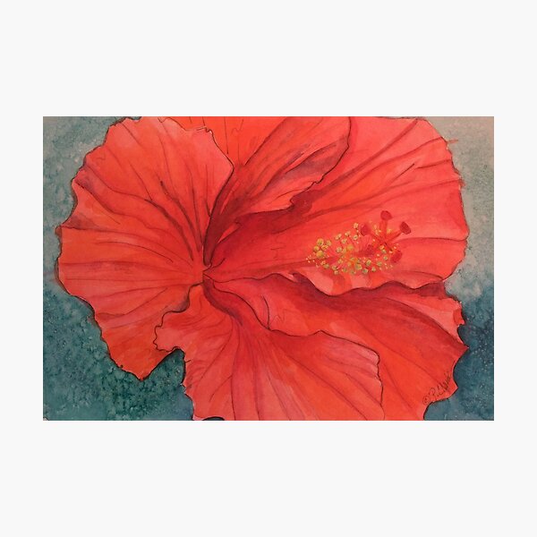 Aperçu de l'œuvre HIBISCUS créée et vendue par PierceClark.