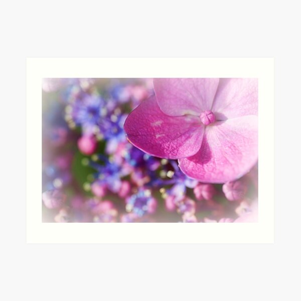Bouquet Of Nature.... Art Print