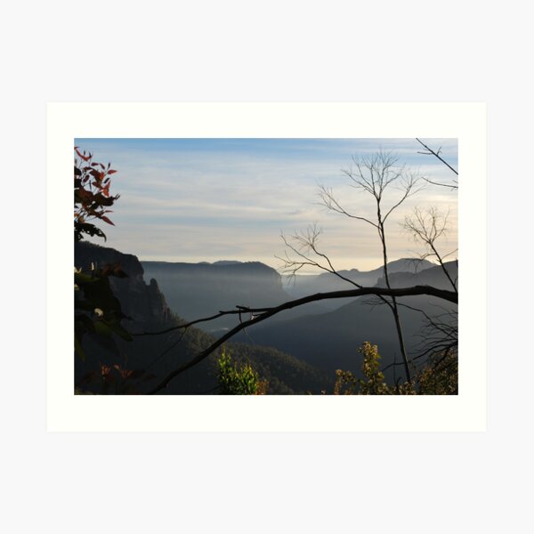 Wild Beauty. (view large) Art Print