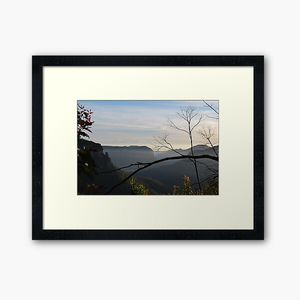 Wild Beauty. (view large) Framed Art Print
