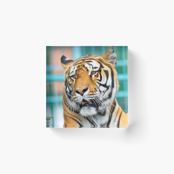Item preview, tiger portrait designed and sold by tony4urban.