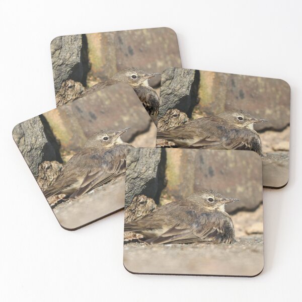 Item preview, Relaxed pipit designed and sold by GreyFeatherPhot.