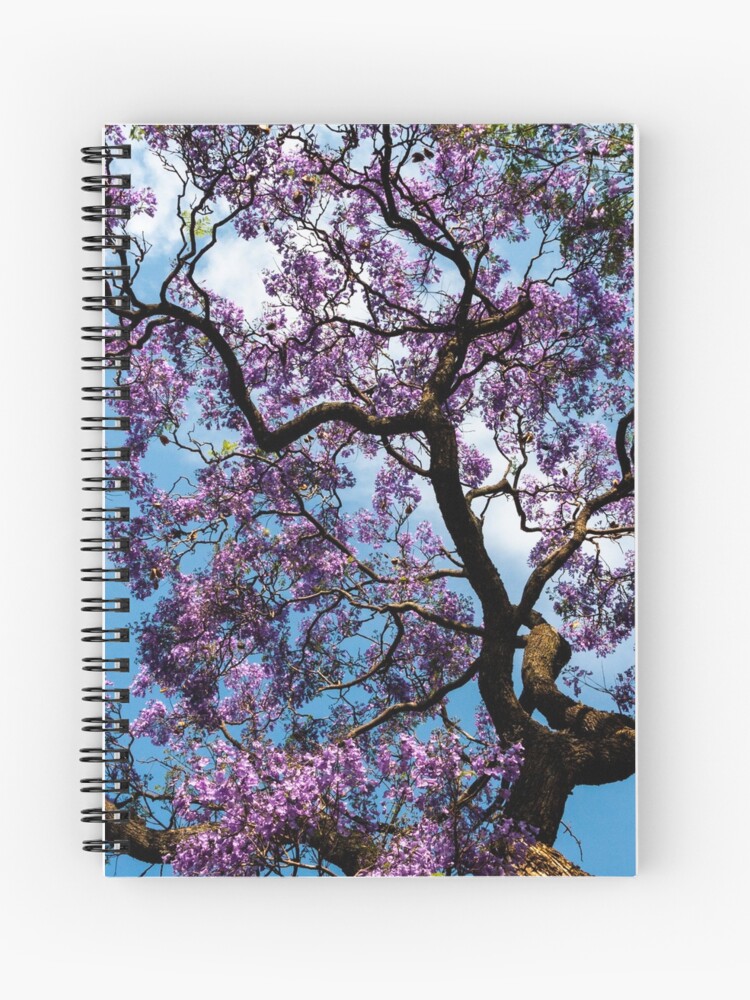 Thumbnail 1 von 3, Notizbuch, Kleines Geschenk, Jacaranda für Mama designt und verkauft von Igelchen.