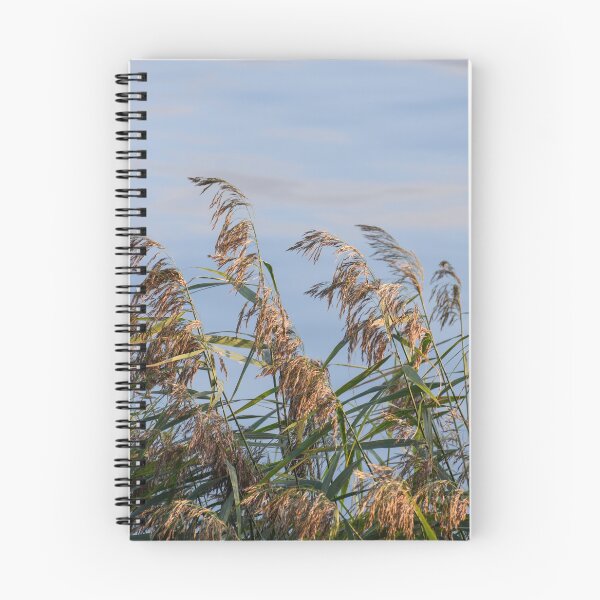 Item preview, Reed on Water designed and sold by denis-romanov.