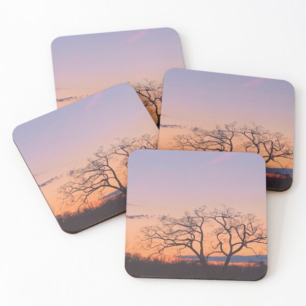 Item preview, the arboretum 1 designed and sold by juliamelo.