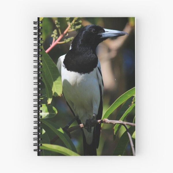 Item preview, Beaut Black and White Bird designed and sold by KazM.