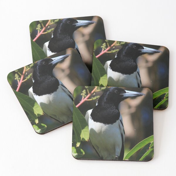 Item preview, Beaut Black and White Bird designed and sold by KazM.