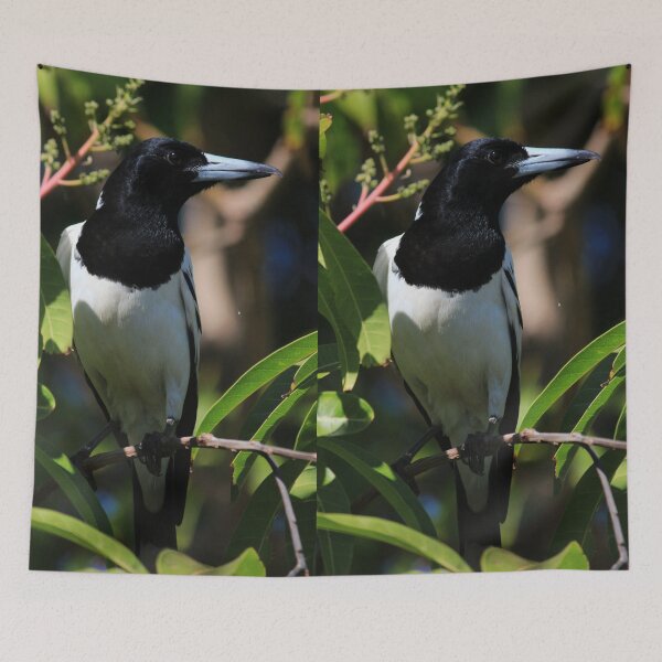 Item preview, Beaut Black and White Bird designed and sold by KazM.