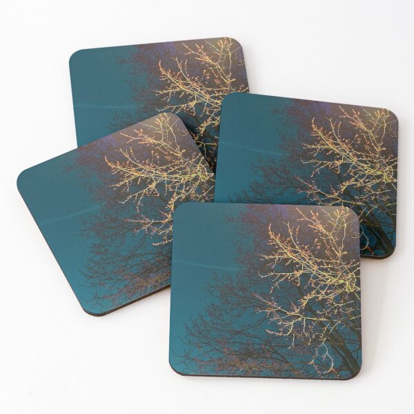 Item preview, the arboretum 4 designed and sold by juliamelo.
