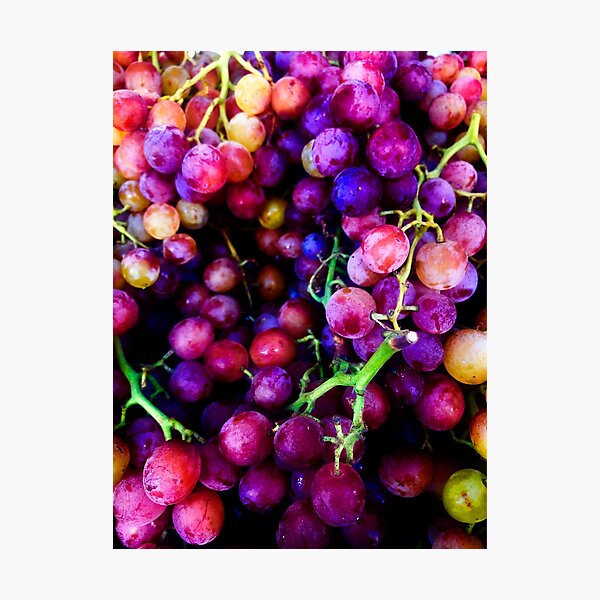 Item preview, Fresh Grapes designed and sold by BritishYank.