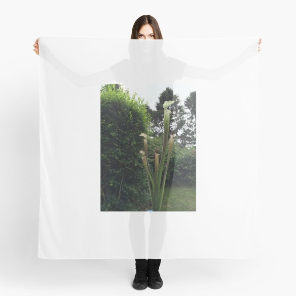 new pitcher plant Scarf