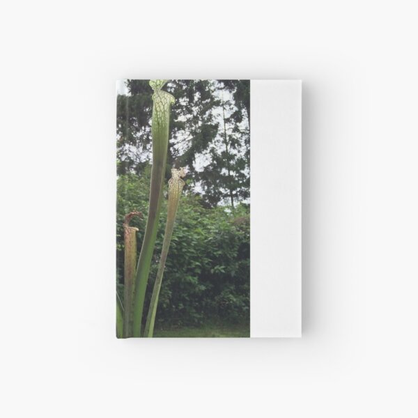 new pitcher plant Hardcover Journal