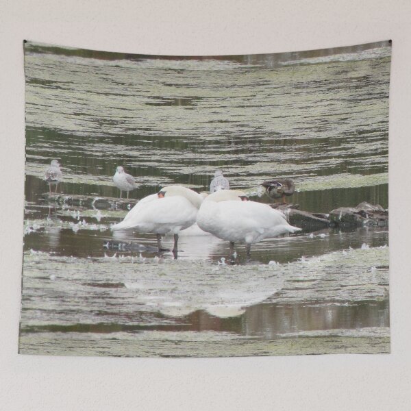 Item preview, Swan Stillife designed and sold by ArtOfE.
