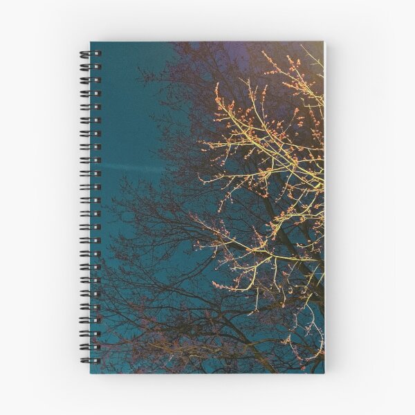 Item preview, the arboretum 4 designed and sold by juliamelo.