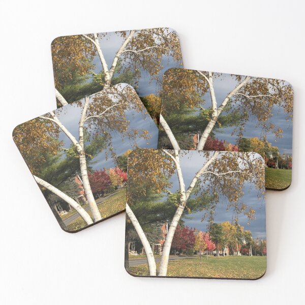 Item preview, White Birch designed and sold by 2purejoyjn146.