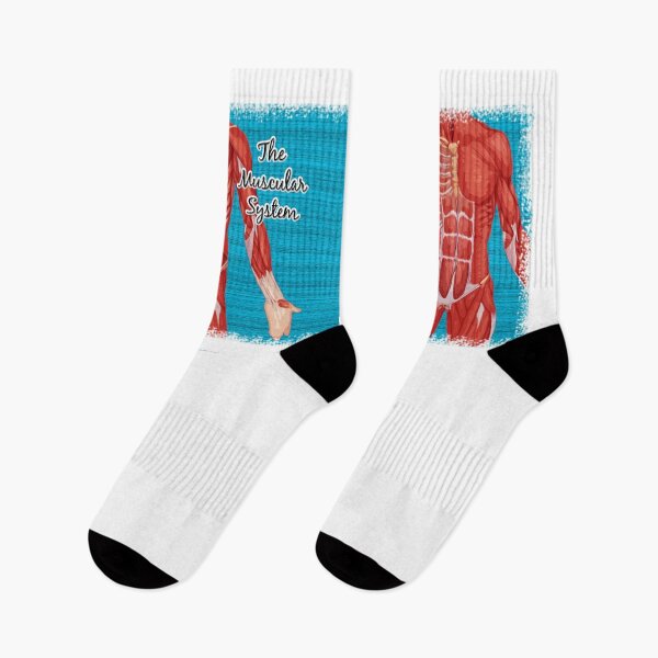 Item preview, The Muscular System designed and sold by Gift-It-Right.