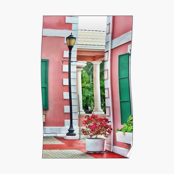 Coral Walkway Poster