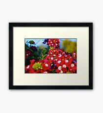 Red Flower Patch Framed Print