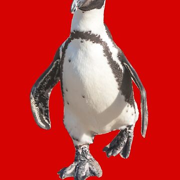 Vorschaubild zum Design Kleines Geschenk unter 25 cooler Pinguin be yourself Geschenkidee von Katja LebenFreude
