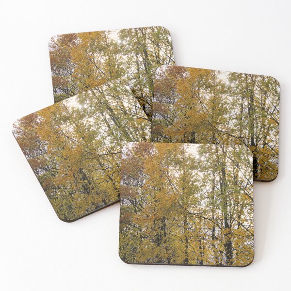 Item preview, Autumn Trees designed and sold by Rob Cole Photography.