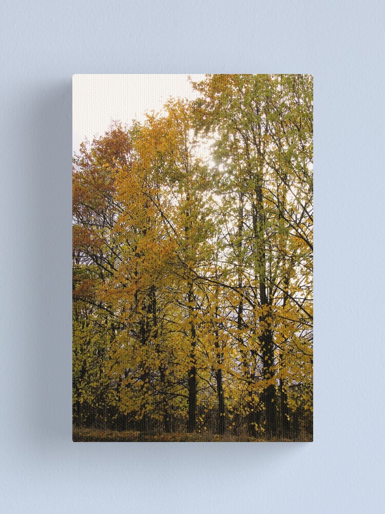 Alternate view of Autumn Trees Canvas Print