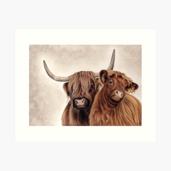 Heilan'Coos - Scottish Highland Cattle Art Print