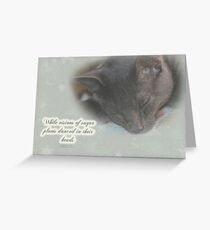 Cat Christmas Greeting Card - Kitty Asleep Greeting Card