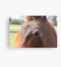 The Cutest Little Cowlick Metal Print
