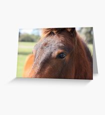 The Cutest Little Cowlick Greeting Card