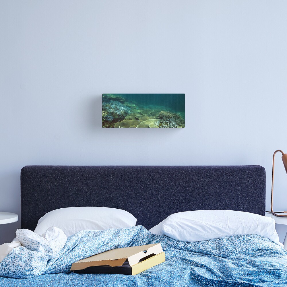 North Bommie Canvas Print