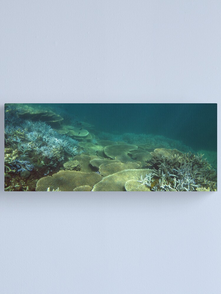 Alternate view of North Bommie Canvas Print