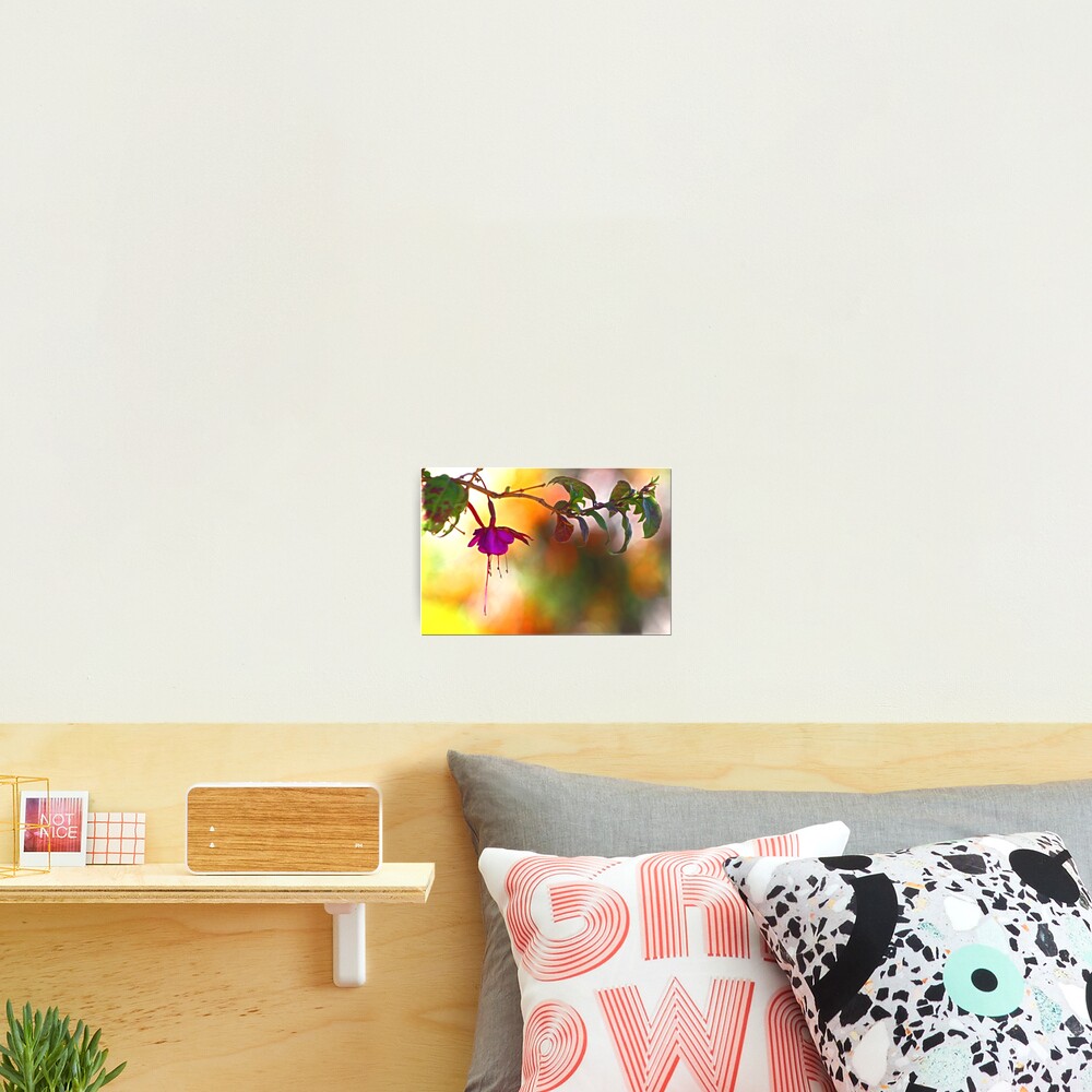 Item preview, Photographic Print designed and sold by cking.