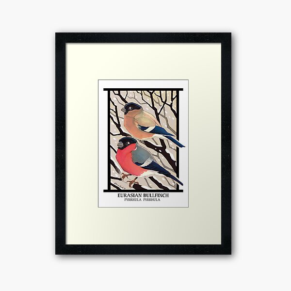 Vintage Winter Birds - Bullfinches Framed Art Print