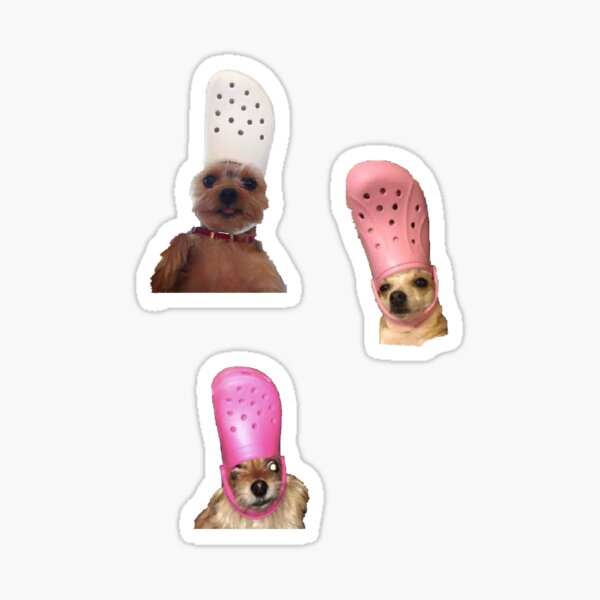 docs crocs for dogs